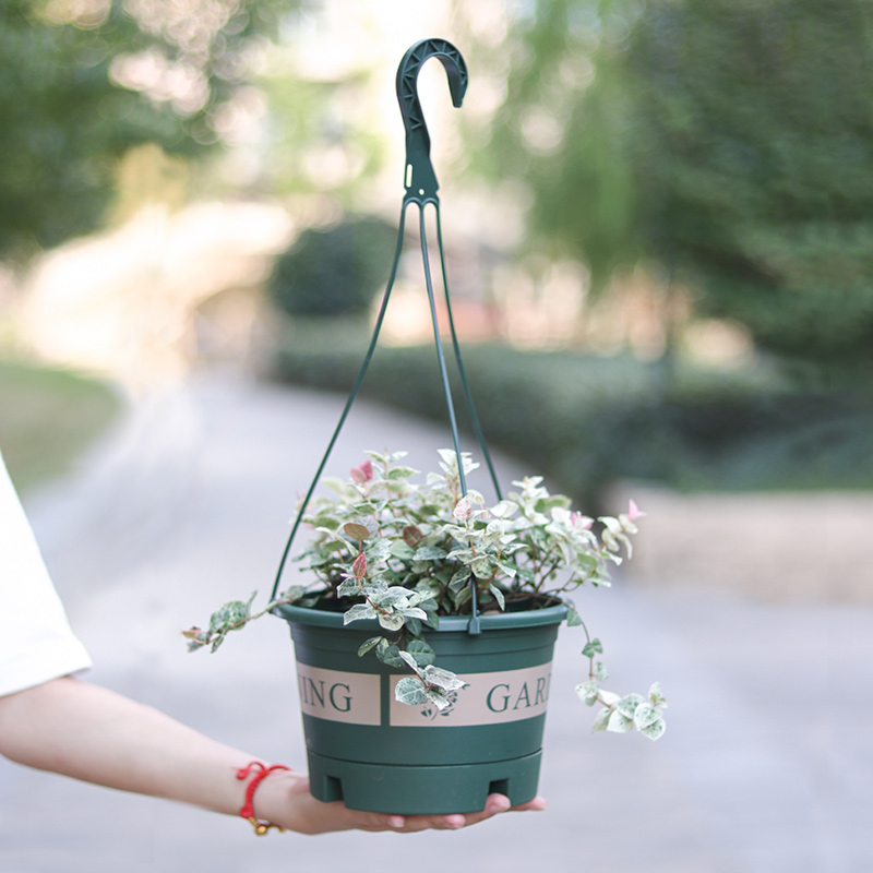 吊盆花盆悬挂式塑料吊兰花盆加伦盆家用吊篮垂吊绿萝常春藤壁挂盆