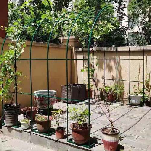 户外拱门花架铁艺花支架丝瓜爬藤架蔷薇铁线莲植物攀爬架吊篮架子