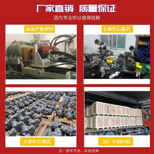 1R00 031 B1泵胆denison液压油泵 丹尼逊定量叶片泵T6C 现货原装