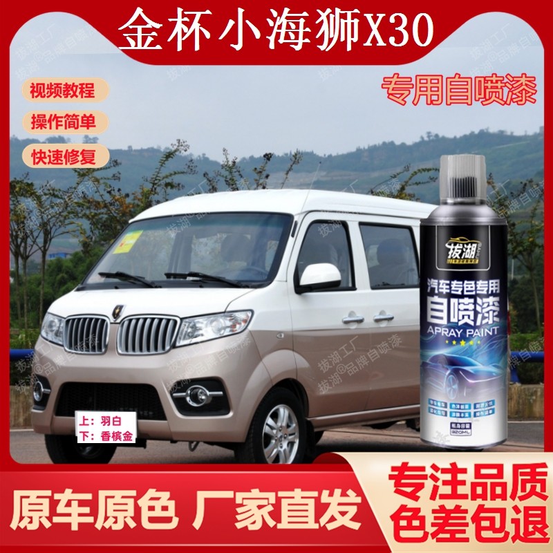 金杯小海狮X30自喷漆专车专用手喷漆划痕修复补漆笔车油漆金属漆,汽车零部件/养护/美容/维保,补漆笔,淘宝优惠券,粉丝福利购,淘宝优惠卷