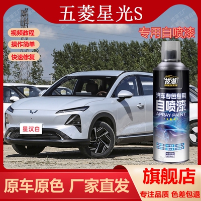 五菱星光S专车专用手喷漆