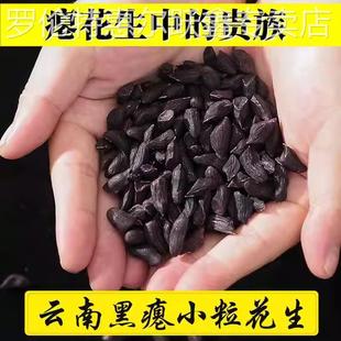 云南富硒黑花生米干瘪粒黑花生去壳黑皮瘪花生原味生养胃零食特产