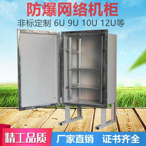 防爆网络机柜2U6U9U12uU24防爆变频控制箱柜路由器交换机柜防爆箱