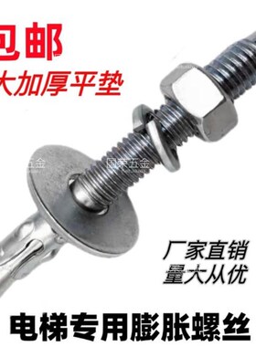 车修壁虎膨胀螺丝电梯专用膨胀u螺丝大平垫镀白锌彩锌M10M12M14M1