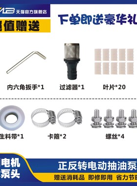 正反转电动抽油泵12Vo24V220V伏自吸泵油泵直流柴油泵加油机抽油