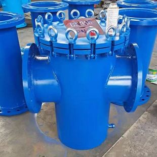 碳钢篮式 毛发收集器直发 过滤器泳池工业专用快开式 管道提篮式