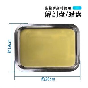 解剖盘 初中高中生物实验器材学生用生物教学仪器 26cm蜡盘
