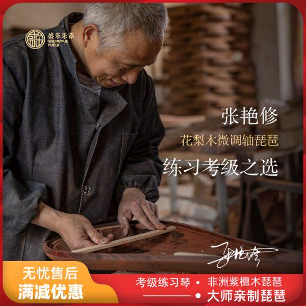 盛乐琵琶 微调轴琵琶 非洲紫檀木花梨木红木琵琶乐器考级练习琴