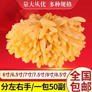 A级一次性米黄牛筋手套橡胶乳胶分左右手手套无粉水产耐磨手套