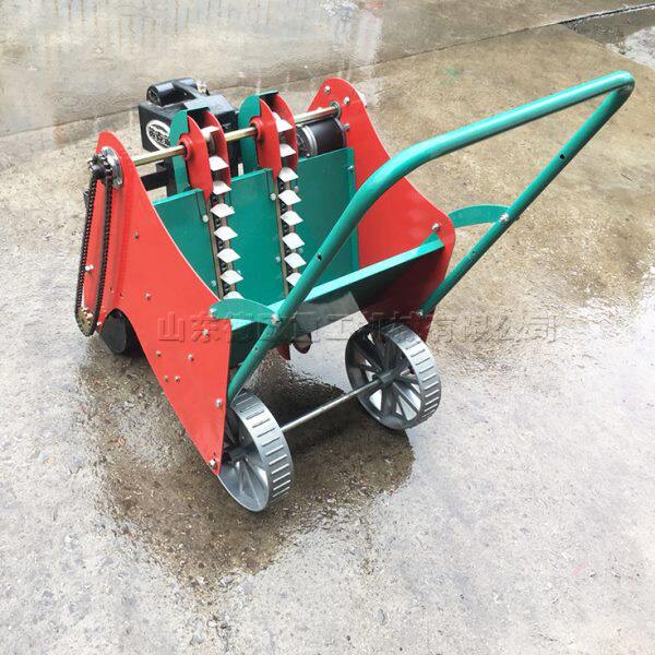 家用小型种蒜机播蒜机 电动版手推3行大蒜播种机 大蒜规模化种植