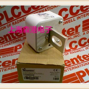 熔断器 500A保险丝 690V 170M6608