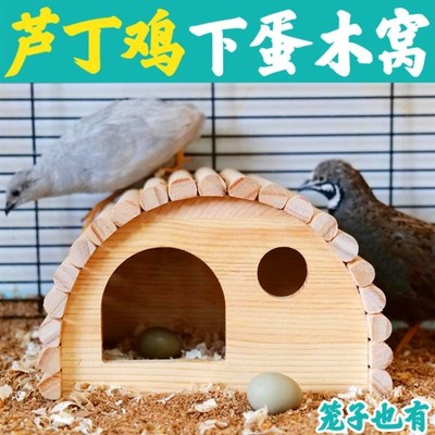 卢丁鸡的房子造景卢丁鸡的笼子木箱芦丁鸡屋子芦丁鸡窝下蛋窝草窝