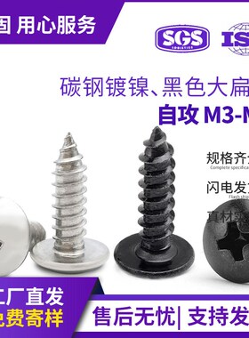 TA黑色大扁头自攻螺丝碳钢镀镍大头螺丝扁圆头自功螺钉M3M4M5M6