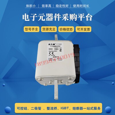 快速保险丝熔断器170M6252 170M6253 170M6254 170M6256全新