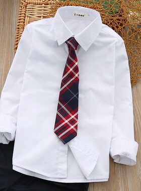 男童衬衫春秋款2023q纯棉洋气儿童白色衬衣长袖小学生校服大童寸