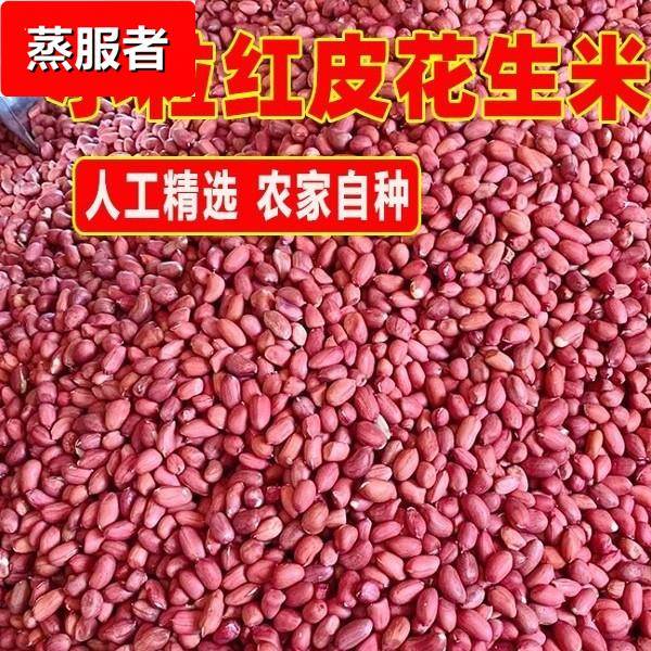 小红花生云南红皮花生米去壳红衣花生米生花生农家自种小粒红花生