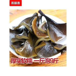 海带干头，特粗旗舰店，福建夏浦海带根，特粗海带茎，新海带苗