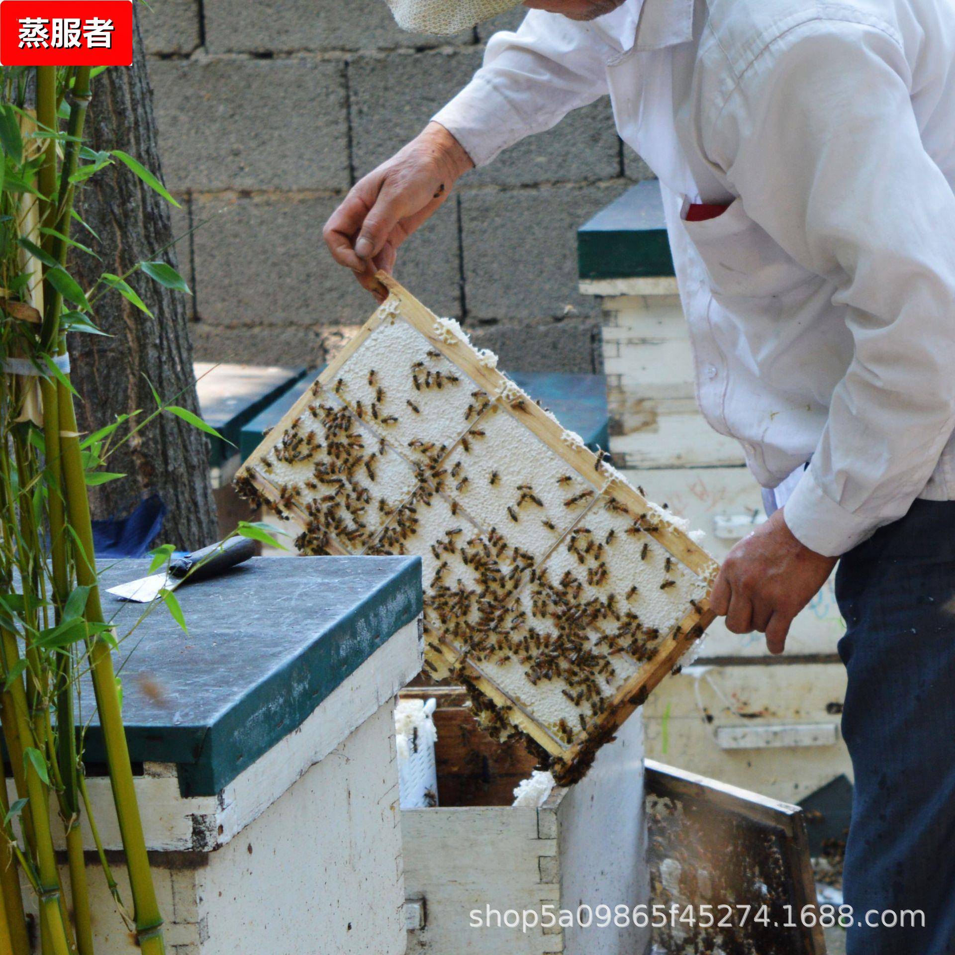 蜂巢蜜 荆条蜜 荆花蜜 毛重一斤 盒装巢蜜 称重农产品 约500g/盒