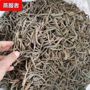 云南文山三七根三七打粉料田七三七粗根三七须根毛根大货