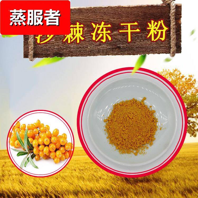 沙棘冻干粉藤迈现货供应沙棘果粉 沙棘粉100g/袋沙棘果冻干粉