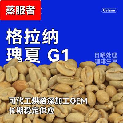 咖啡生豆2024年埃塞古吉 格拉 纳庄园 瑰夏G1日晒精品商用拼配1kg