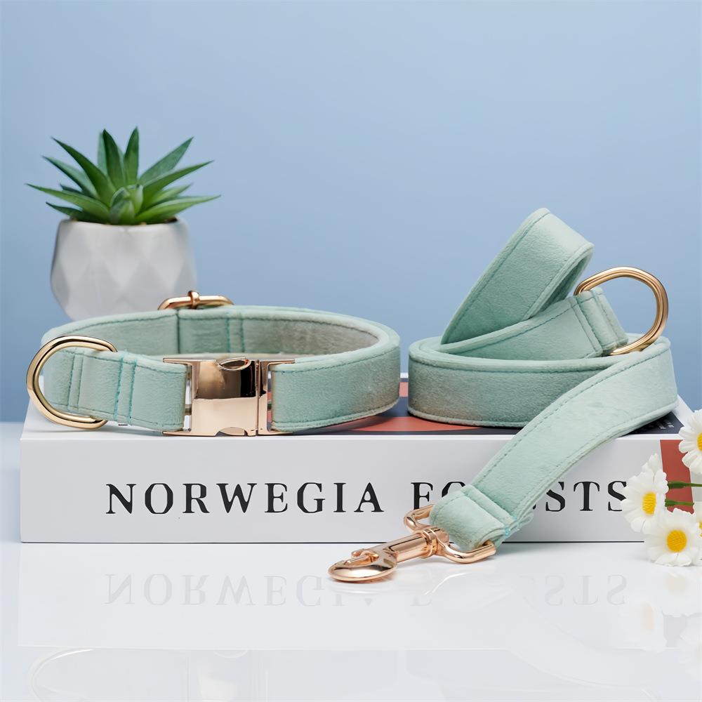 狗狗项圈刻字防丢小型犬外出遛狗狗绳牵引绳脖圈中大型犬柯基颈圈