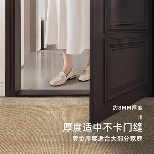 入户门地垫高级感进门大门口耐脏防O滑脚垫可裁剪玄关地 2025新款