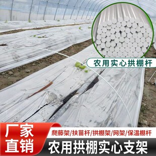 小拱棚支架地膜蔬菜棚爬藤架子农膜竹子骨架有弹性农用塑料高强棍