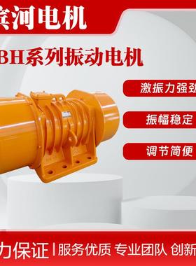 常用震动电机激振力120NYBH-120-4振动电机