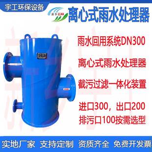 离心式雨水处理器雨水收集回用系统颗粒分离截污过滤一体化装置