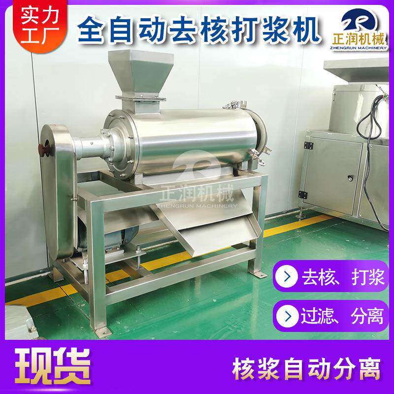销售0.5吨去核打浆机 黄皮果去籽打浆机不锈钢果蔬榨汁设备