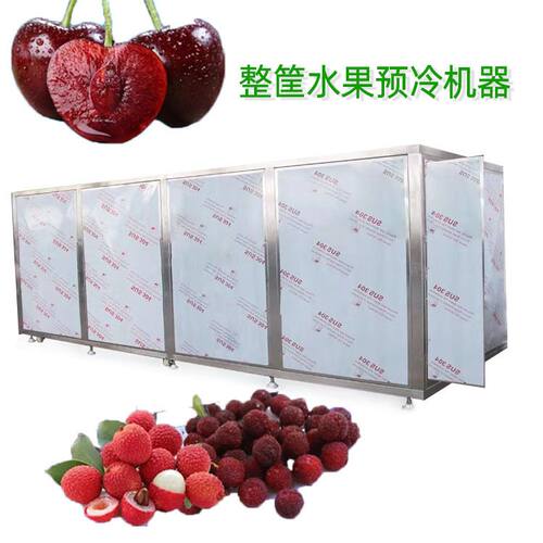 樱桃预冷机大型 杨梅整筐水果预冷流水线 全自动荔枝降温设备厂家