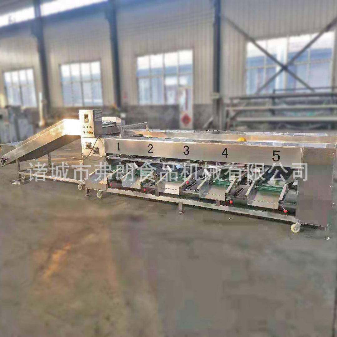 水果分级机厂家供应 蜜桔人参果分选设备 柠檬分级机 柑子分级机,清洗/食品/商业设备,果蔬加工设备,淘宝优惠券,粉丝福利购,淘宝优惠卷