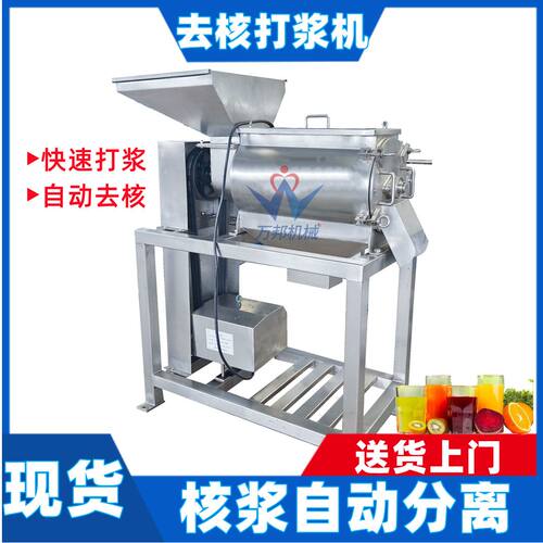 现货青梅去皮去核打浆机 全自动商用果蔬单道打浆机 熟梨打浆机