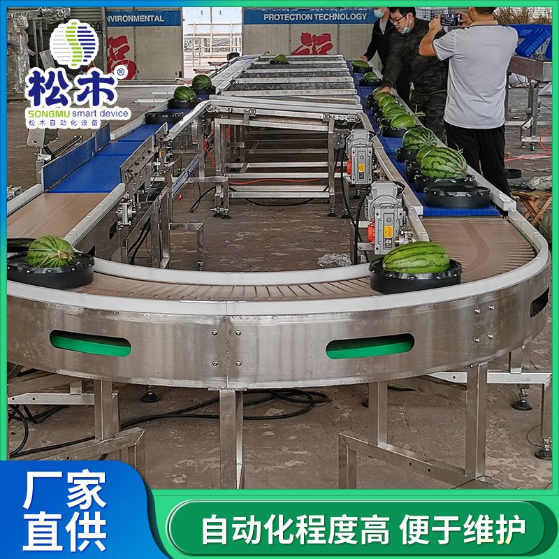连续称重水果分选机 水果西瓜无损精准分级机 水蜜桃菠萝苹果分选