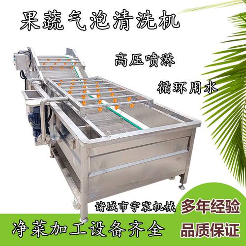 山野菜净菜清洗设备杨梅草莓辣椒水果清洗机青椒果蔬气泡清洗机