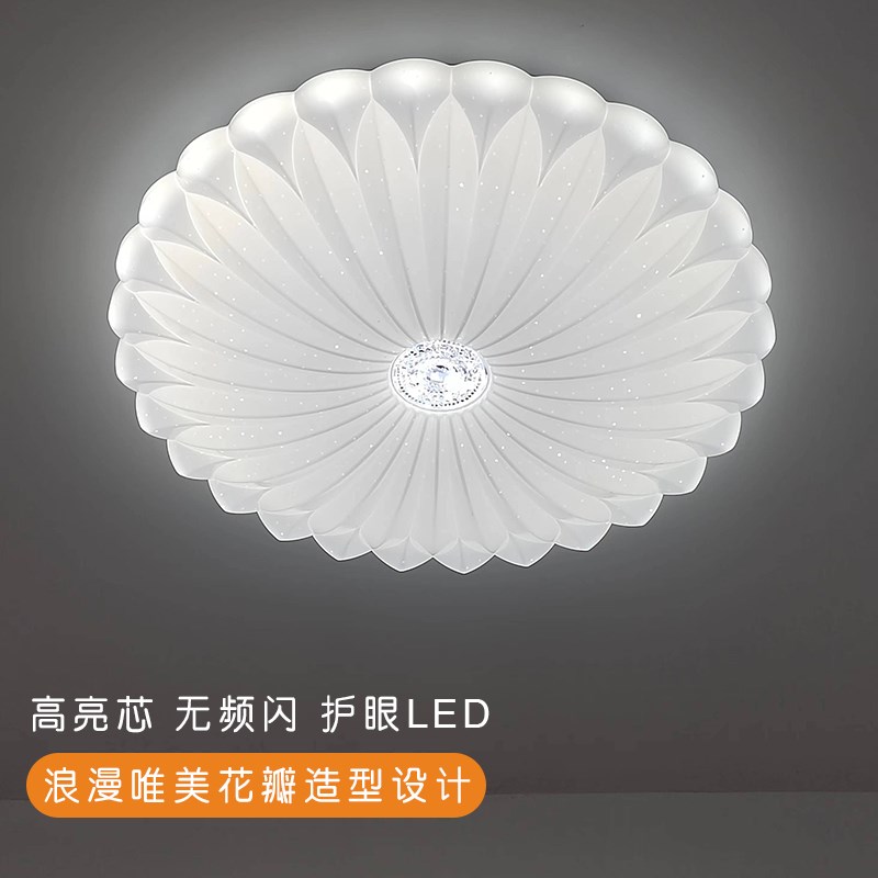 新款灯饰现代简约卧室吸顶灯房间奶油风花朵花瓣浪漫星空吸顶灯