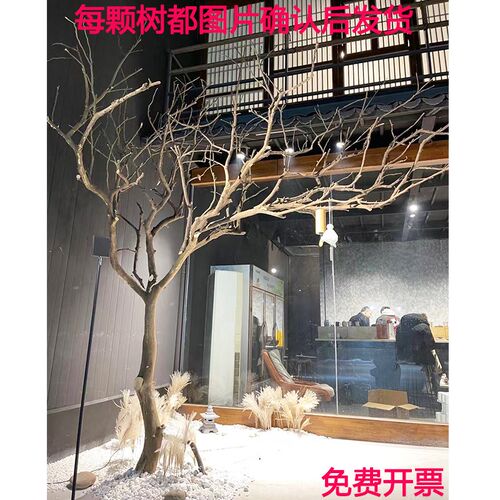 造景干枝树干树枝干许愿树枯树室内圣诞造K型树枝干原木树枝装饰