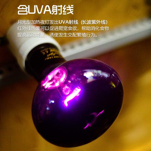 甄选RS升级款爬虫UVA夜灯陆龟蜥蜴变色龙夜间加温爬宠饲养箱保温