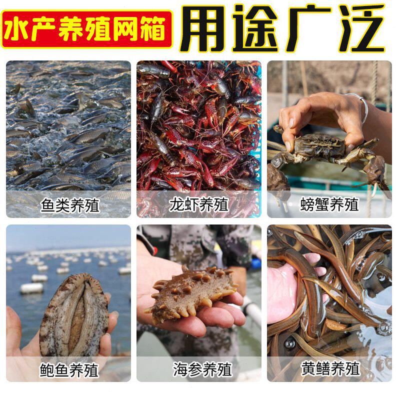 甄选水产养殖网 全新聚乙烯专用网箱拉网虾鱼苗海参鲍鱼龙虾无结