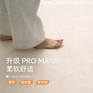 复古可机洗卧室免洗可擦家用沙发茶几地垫 可拆洗地毯客厅2024新款