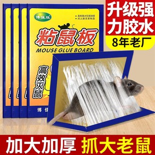 超强家用扑捉器驱捕鼠神器老鼠板 粘鼠板强力胶老鼠贴粘大老鼠新款