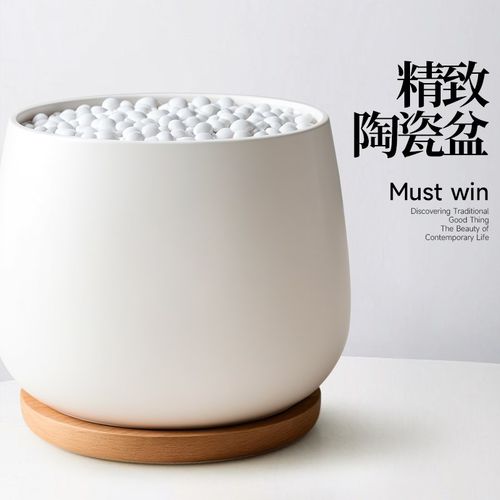 仙人掌盆栽万重山办公室内桌面绿植阳台多肉花卉耐旱新手好养植物