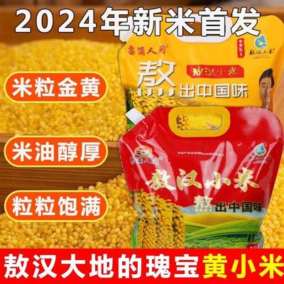 新货粟满人间大金苗小米2.