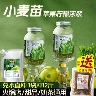 新日期制糖师小麦草苹果柠檬汁饮料浓浆1kg浓缩果蔬汁饮料泰绿餐