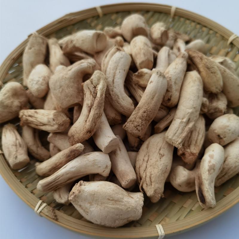 向老伯500g 双剪大香菇脚干香菇丝 商用香菇腿干货冬菇柄花菇脚
