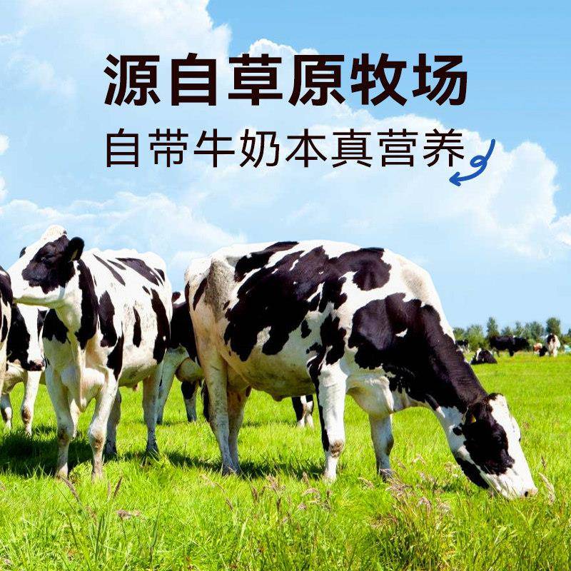 新货卡夫菲力奶油奶酪2kg忌廉芝士进口干酪蛋糕乳酪甜品慕斯烘焙