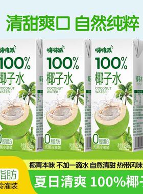 新日期椰子水100%纯椰汁250mlx10盒孕妇无添加果味饮料学生饮品