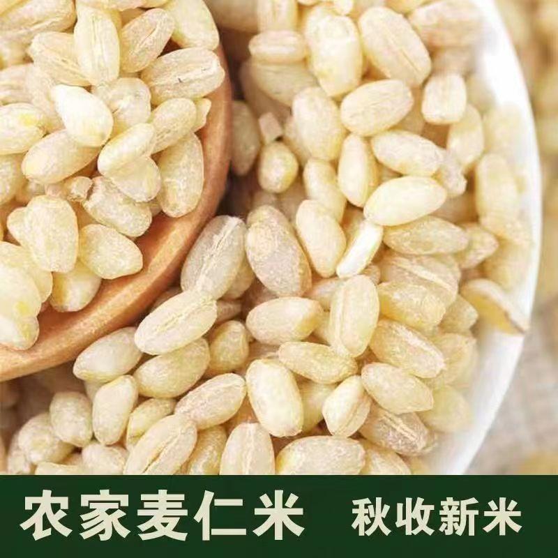 新去皮新麦仁农家自产河南精选小麦仁去皮麦仁粒谷物煮粥配料杂粮