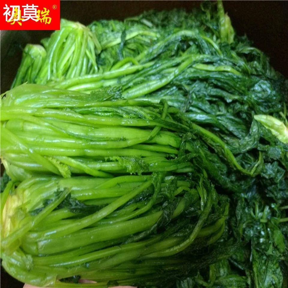 绿雪菜优质雪菜咸菜新鲜雪菜咸菜雪里红雪里蕻青雪菜绿雪菜